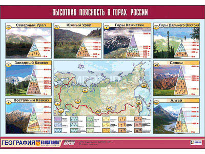 Таблица демонстрационная &quot;Высотная поясность в горах России&quot; (винил 70x100) 