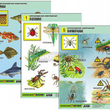 Комплект таблиц для начальная школа "Окружающий мир. Животный мир" (8 табл., А1, лам.)