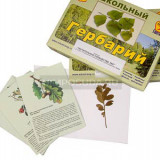 Гербарий "Растительные сообщества. Лес" (9 видов, 10 планшетов, с иллюстрациями и фотографиями)