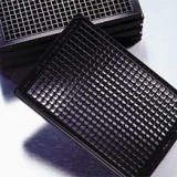 Планшет культуральный 384-луночный, черный/прозрачный, плоскодонный, поверхность CellBind