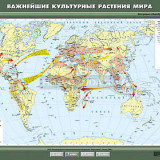 Учебная карта "Важнейшие культурные растения мира" 100х140
