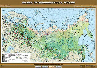 Учебная карта &quot;Лесная промышленность России&quot; 100х140 