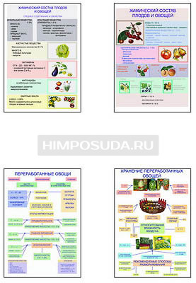 Плакаты ПРОФТЕХ &quot;Классификация овощей и переработка&quot; (8 пл, винил, 70х100) 