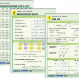 Комплект таблиц по алгебре раздататочный "Алгебра. Числа. Формулы" (цвет., лам., А4, 10 шт.)