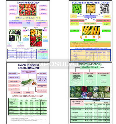 Плакаты ПРОФТЕХ &quot;Классификация овощей&quot; (11 пл, винил, 70х100) 