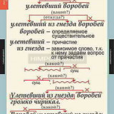 Таблицы демонстрационные "Русский язык 7 класс."