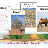 Модель-аппликация "Природные зоны" (ламинированная)