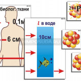 Модель-аппликация "Явление радиоактивности" (ламинированная)