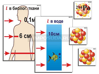 Модель-аппликация &quot;Явление радиоактивности&quot; (ламинированная) 