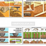 Плакаты ПРОФТЕХ "Основы агрономии" (11 пл, винил, 70х100)