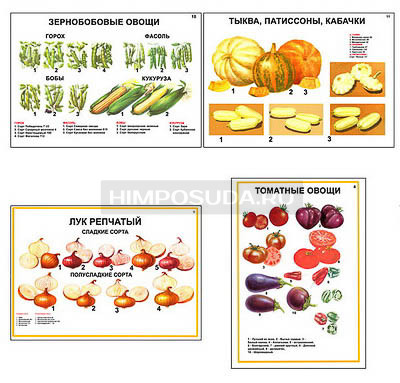 Плакаты ПРОФТЕХ &quot;Ассортимент овощных культур&quot; (12 пл, винил, 70х100) 