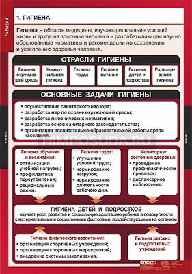 Таблицы демонстрационные &quot;Гигиена&quot; 