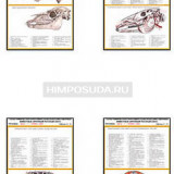 Плакаты ПРОФТЕХ "Топографическая анатомия. Лошадь. Голова и шея" (33 пл, винил, 70х100)