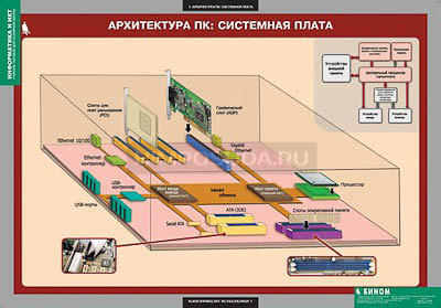 Таблицы демонстрационные &quot;Информатика и ИКТ 8-9 классы (7-9 классы)&quot; 