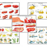 Плакаты ПРОФТЕХ "Первичная обраб. продуктов и приготовление полуфабрикатов" (15 пл, винил, 70х100)