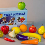 Набор муляжей для рисования (13 шт.)