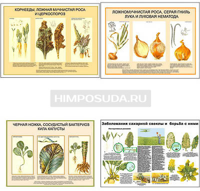 Плакаты ПРОФТЕХ &quot;Вредители, болезни овощных и бахчевых культур, меры борьбы с ними&quot; (6 пл, винил, 70х100) 