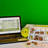 Коллекция натурально-интерактивная "Палеонтологическая"