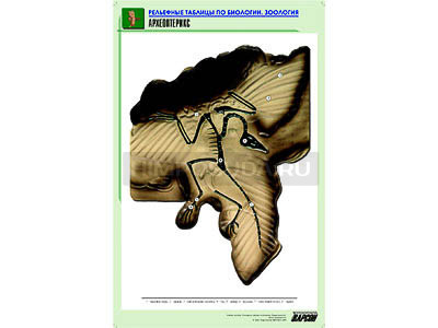 Рельефная таблица &quot;Археоптерикс&quot; (формат А1, матовое ламинир.) 
