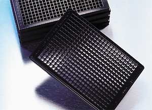 Планшет культуральный 384-луночный, черный/прозрачный, плоскодонный, поверхность CellBind 
