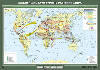 Учебная карта &quot;Важнейшие культурные растения мира&quot; 100х140 