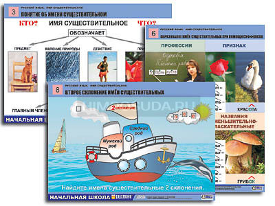 Комплект таблиц для начальная школа &quot;Русский язык. Имя существительное&quot; (12 табл., формат А1, лам.) 