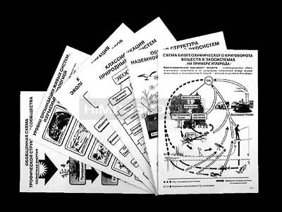 Комплект таблиц по экологии &quot;Экосистема-экологическая единица окружающей среды&quot; (ламинир, А4,12шт) 