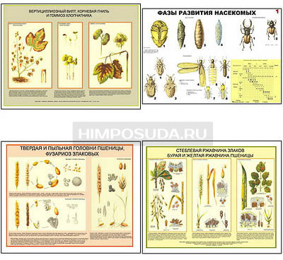 Плакаты ПРОФТЕХ &quot;Вредители и болезни с/х культур и меры борьбы с ними&quot; (11 пл, винил, 70х100) 