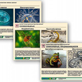 Комплект таблиц раздаточных "Ядовитые животные"