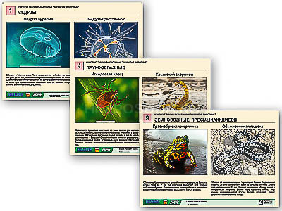 Комплект таблиц раздаточных &quot;Ядовитые животные&quot; 