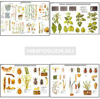 Плакаты ПРОФТЕХ &quot;Вредители и болезни сельскохозяйственных культур&quot; (15 пл, винил, 70х100) 