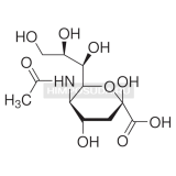 Сиаловая кислота