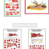 Плакаты ПРОФТЕХ "Разделка мяса" (8 пл, винил, 70х100)
