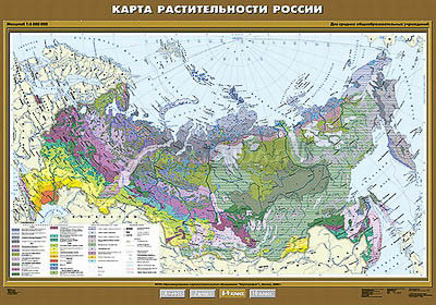 Учебная карта &quot;Растительность России&quot; 100х140 