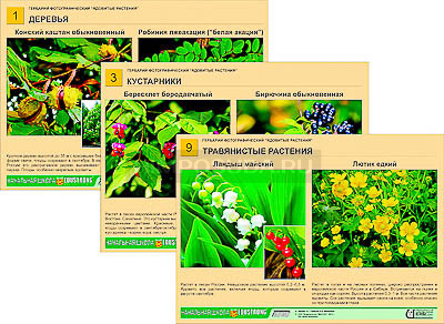Гербарий фотографический &quot;Ядовитые растения&quot; 