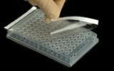 Пленка клейкая для планшет, Real-Time PCR, термостойкая, ультрапрозрачная