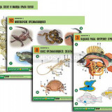 Комплект таблиц по биологии демонстрационный "Зоология 2" (16 табл., формат А1, лам.)