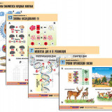Комплект таблиц по биологии демонстрационный "Общая биология 1" (16 табл., формат А1, лам.)