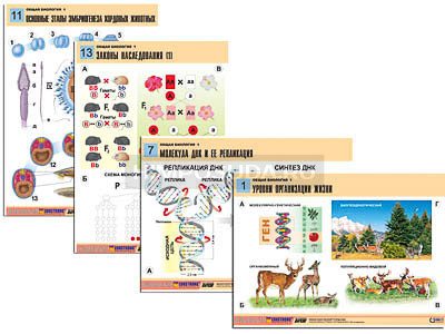 Комплект таблиц по биологии демонстрационный &quot;Общая биология 1&quot; (16 табл., формат А1, лам.) 