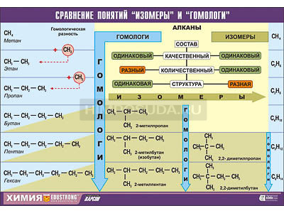 Таблица демонстрационная &quot;Сравнение понятий изомер и гомолог&quot; (винил 100х140) 