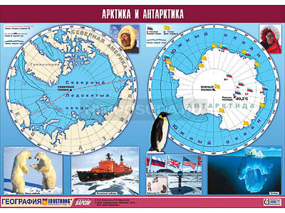 Таблица демонстрационная &quot;Арктика и Антарктика&quot; (винил 100х140) 