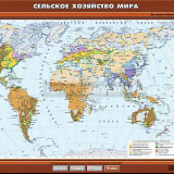Учебная карта "Сельское хозяйство мира" 100х140