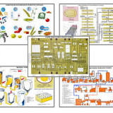 Плакаты ПРОФТЕХ "Сырье и материалы хлебопекарного производства" (20 пл, винил, 70х100)