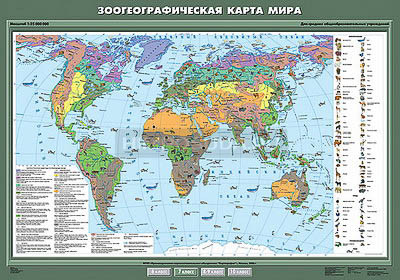 Учебная карта &quot;Зоогеографическая карта мира&quot; 100х140 