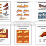 Плакаты ПРОФТЕХ "Технология изготовления обуви" (6 пл, винил, 70х100)